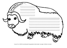 Yak-mit-Lineatur.pdf